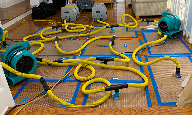 Professional Crawl Space Water Removal technician working in Pointblank, TX